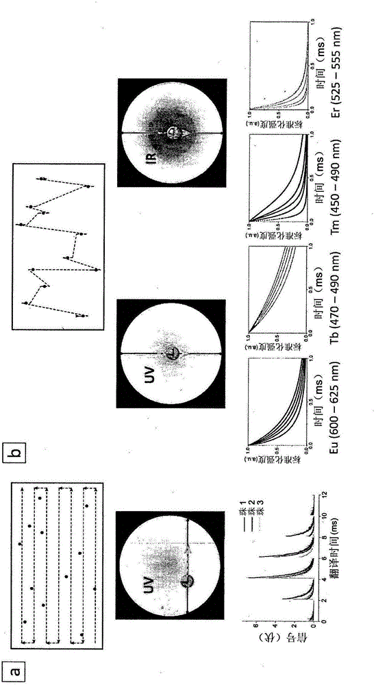 Multiplex suspension assay/array using lifetime coding