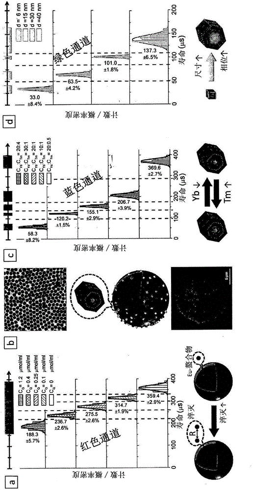 Multiplex suspension assay/array using lifetime coding