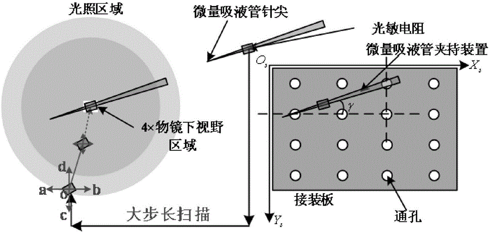 Wide-range automatic positioning method of robot assisted microinjection system medium trace pipette needle point