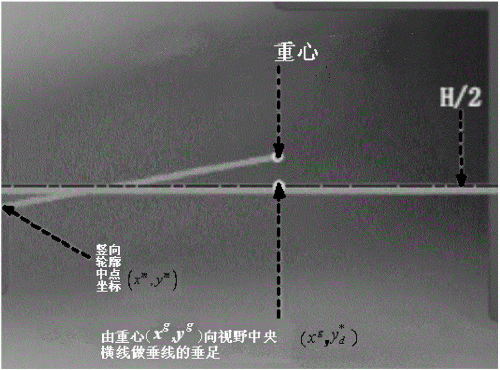 Wide-range automatic positioning method of robot assisted microinjection system medium trace pipette needle point