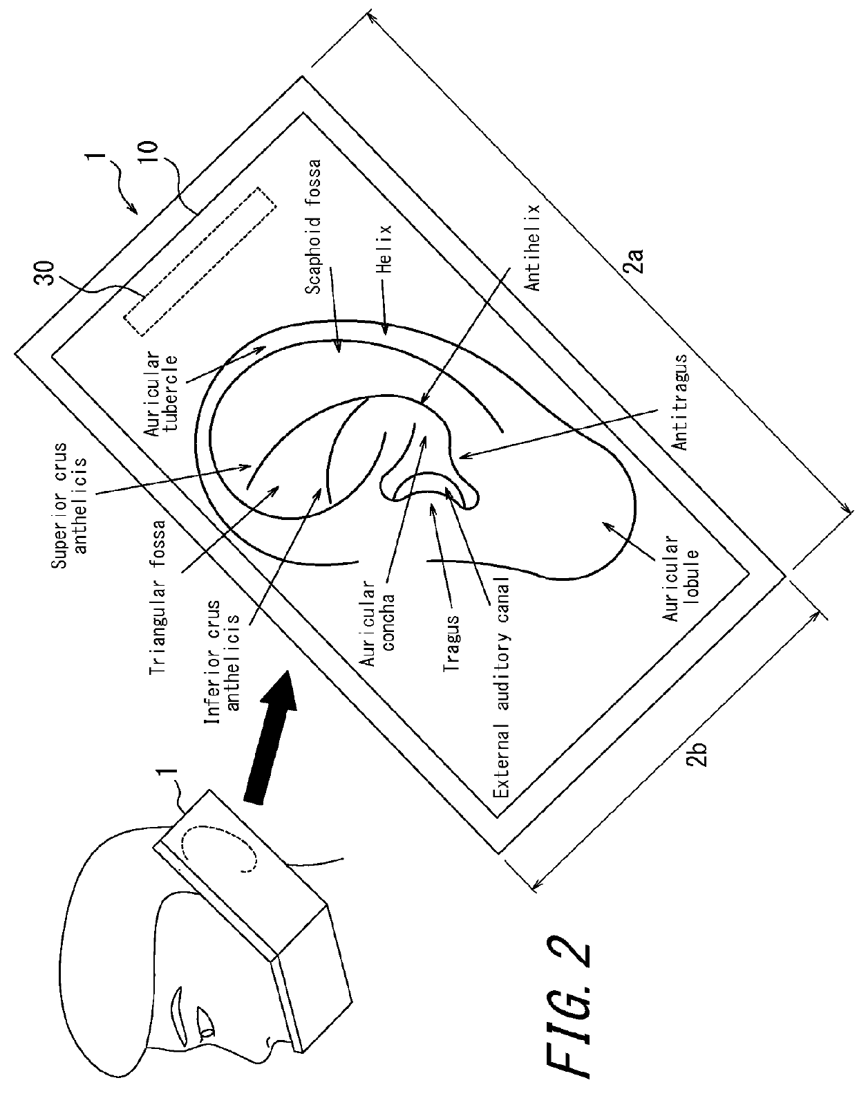 Electronic device