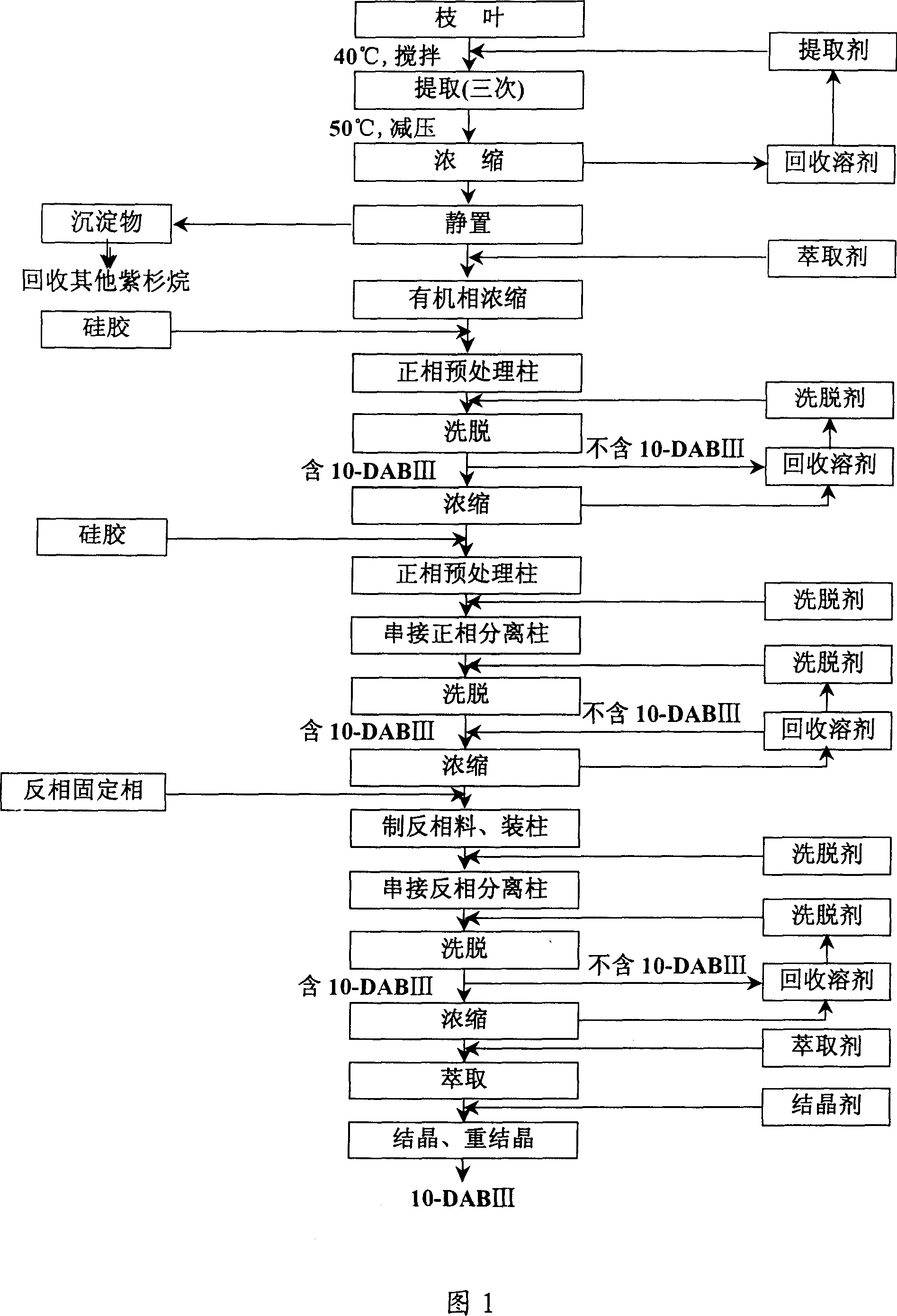 Method for separating and purifying 10-deacetyl Baccatins III