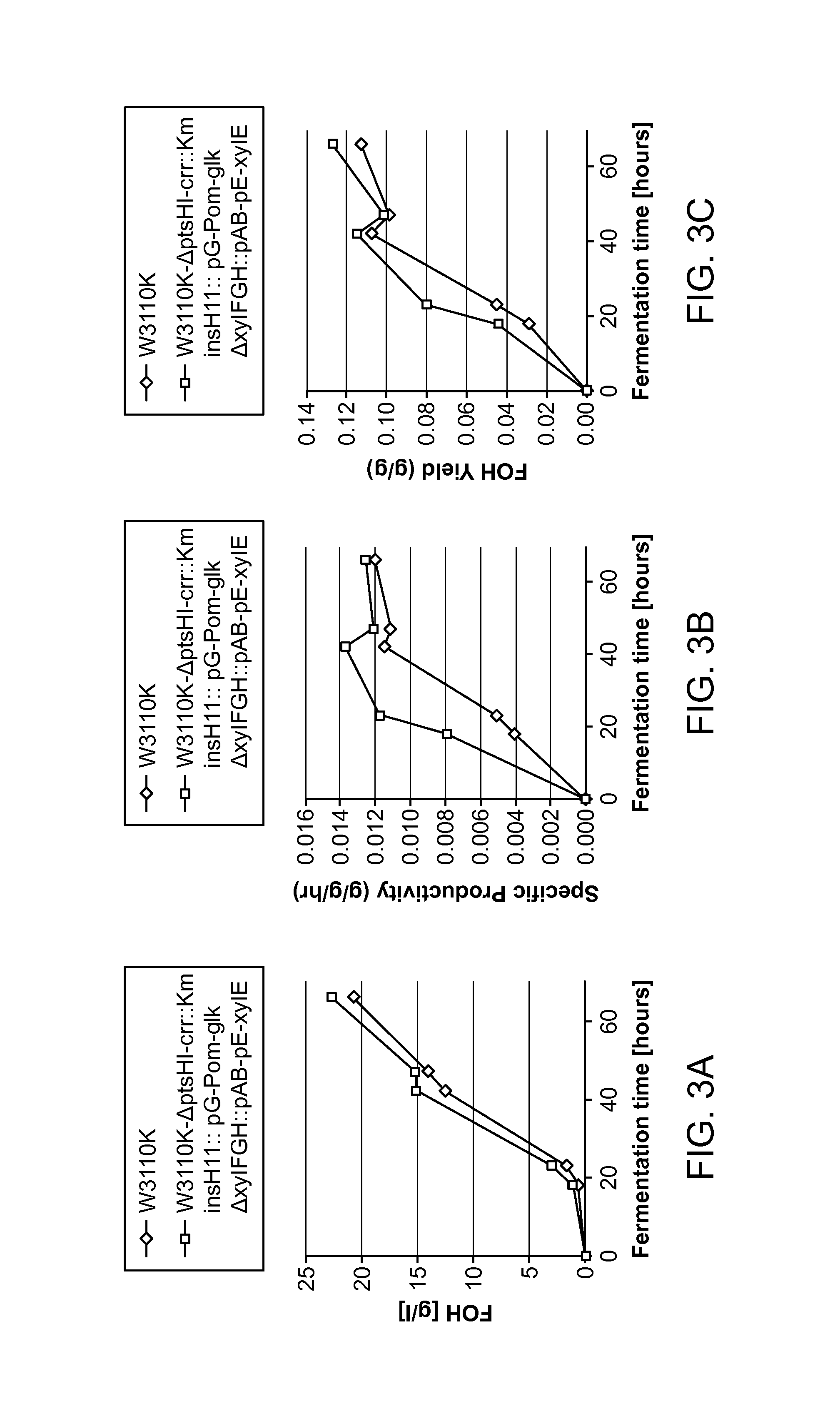 Glucose and xylose co-utilization in <i>E. coli </i>