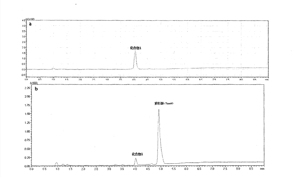 Taxol-based small-molecule hydrogel and preparation method thereof