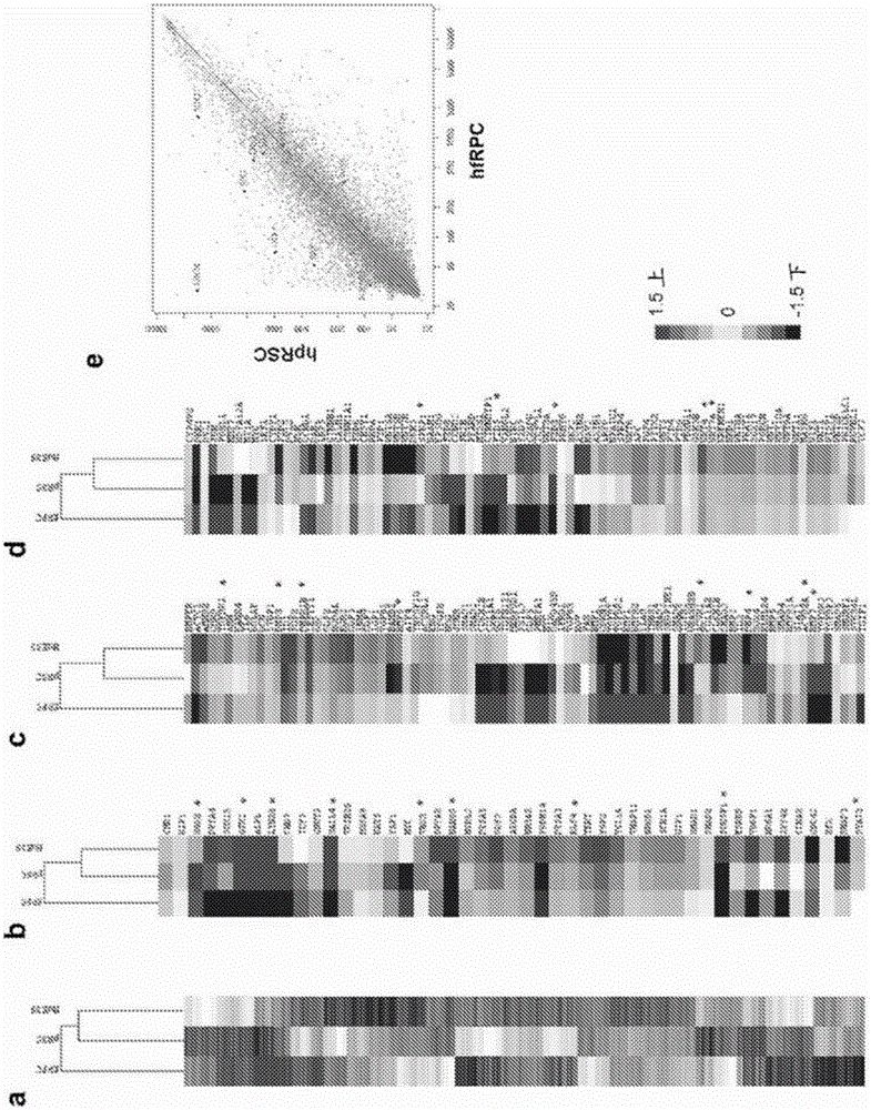 Methods of mammalian retinal stem cell production and applications