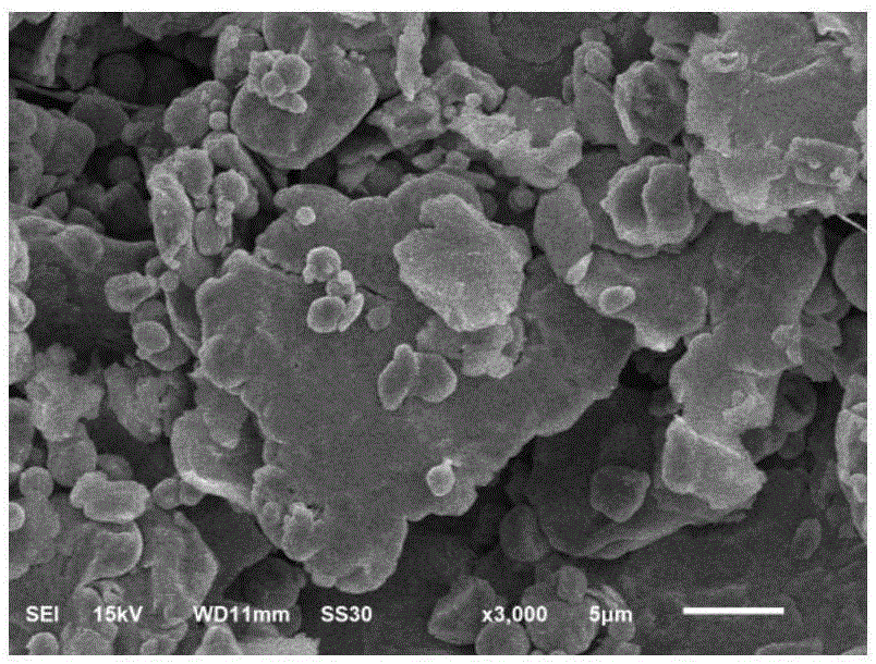 Method for preparing carbonyl iron powder absorbent for low-frequency electromagnetic wave absorption material