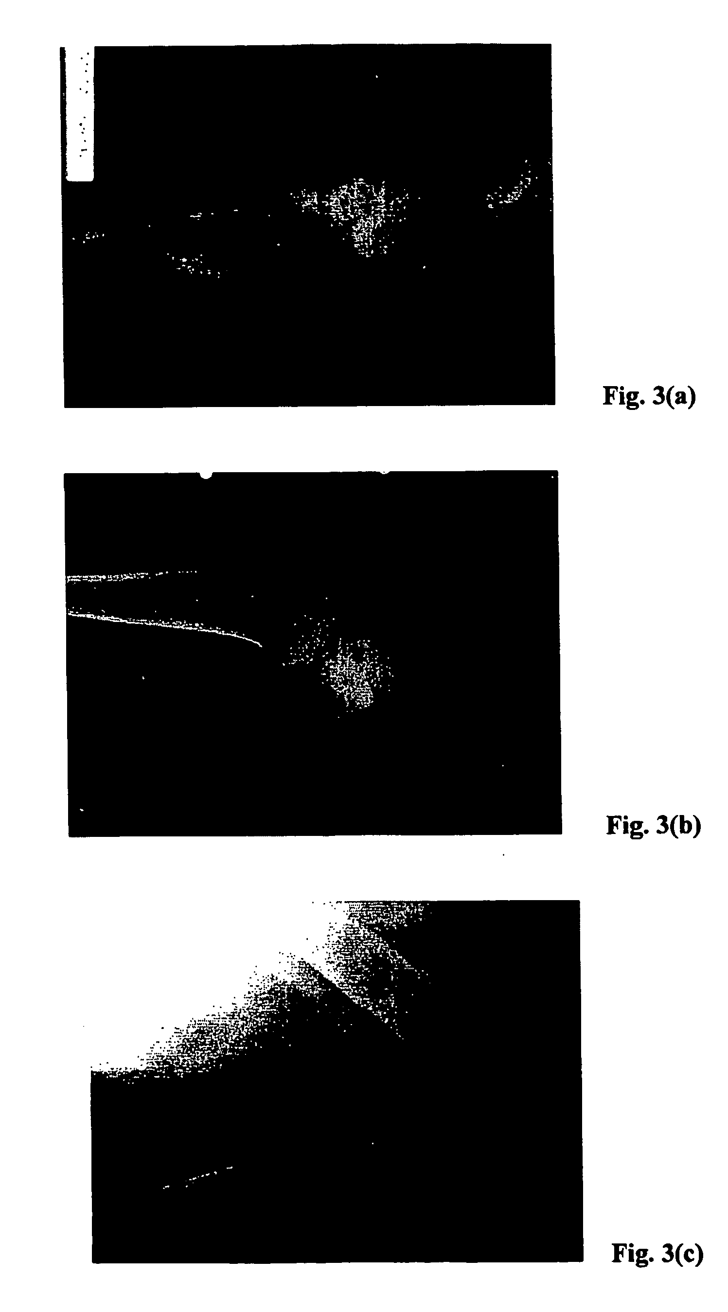 Method for freezing, thawing and transplantation of viable cartilage