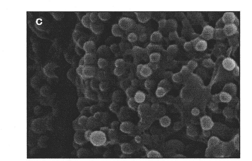 LID-PEG-PLGA controlled-release nano microsphere and preparation method thereof