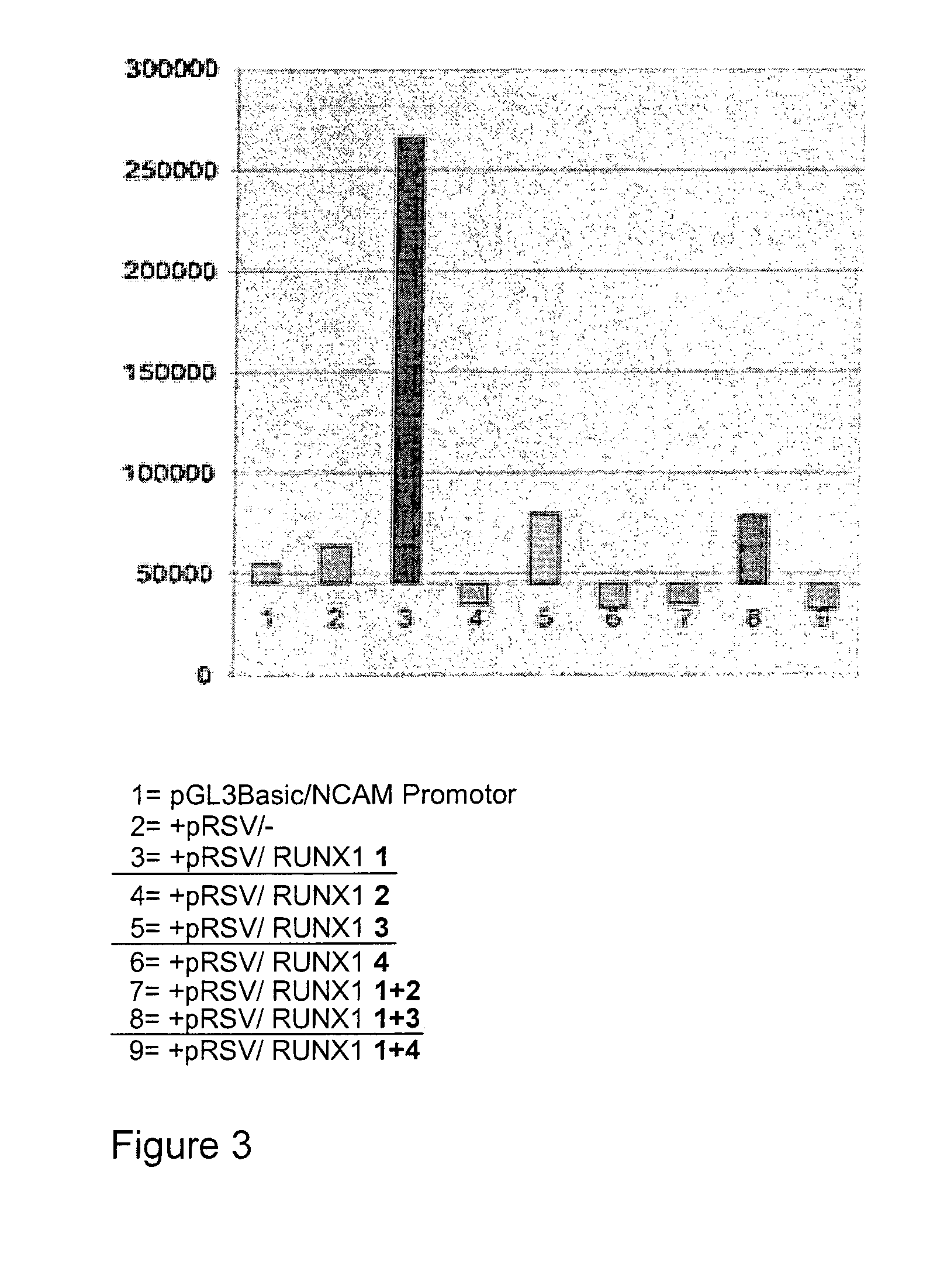 C-terminal exon 5.4 of runx1/aml1