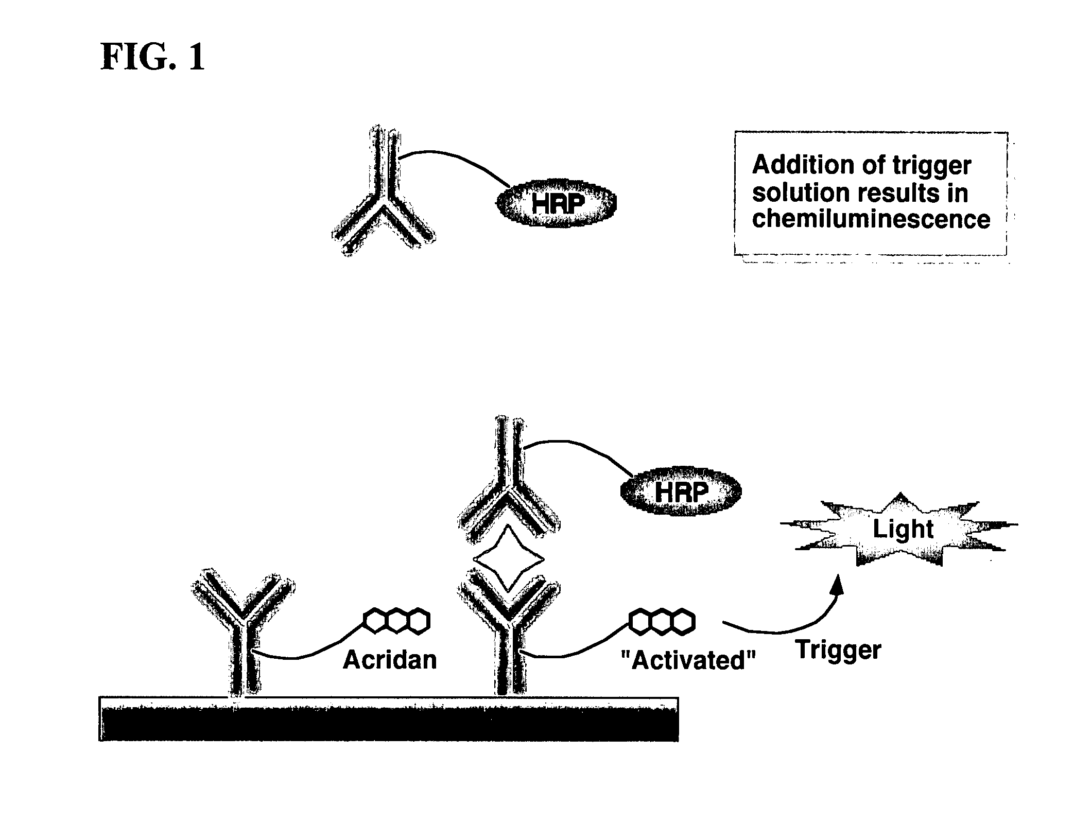 Nonseparation assay methods