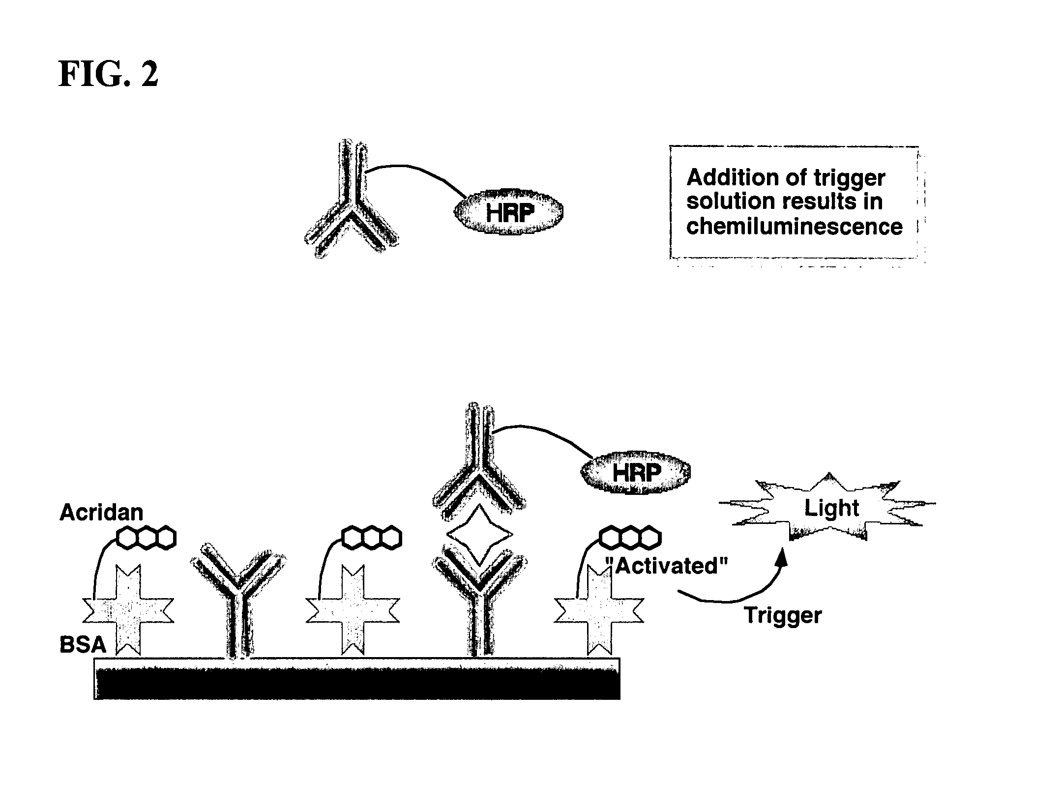 Nonseparation assay methods