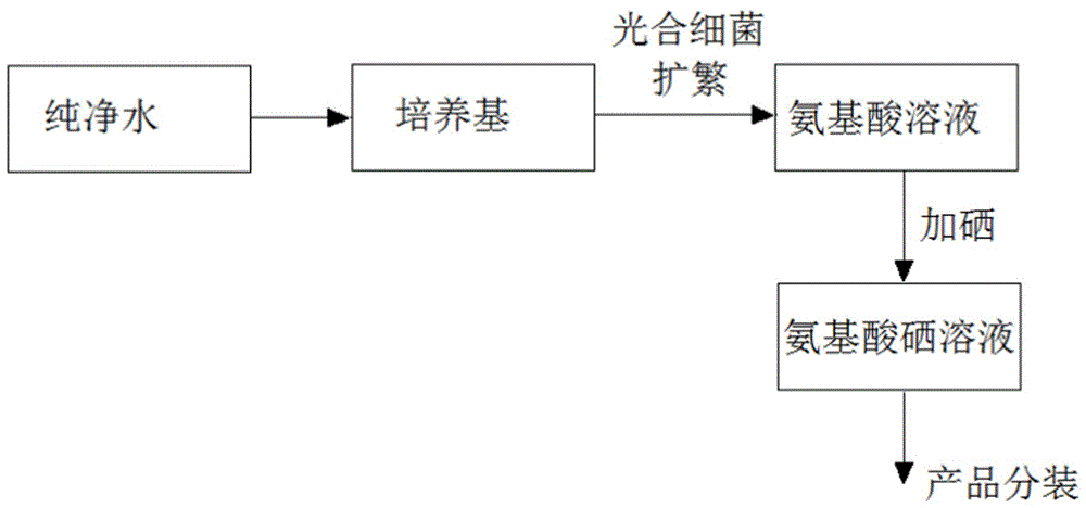 Method for preparing amino acid selenium by using photosynthetic bacteria