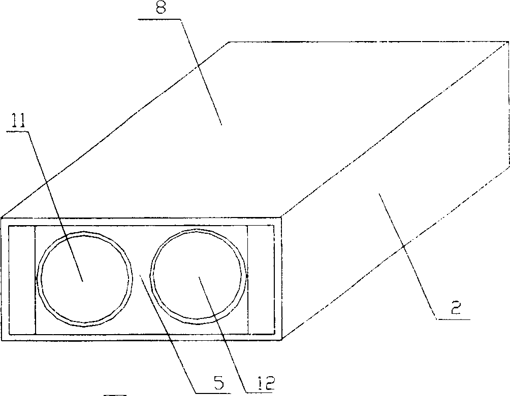 Laser speckle detector head and application thereof