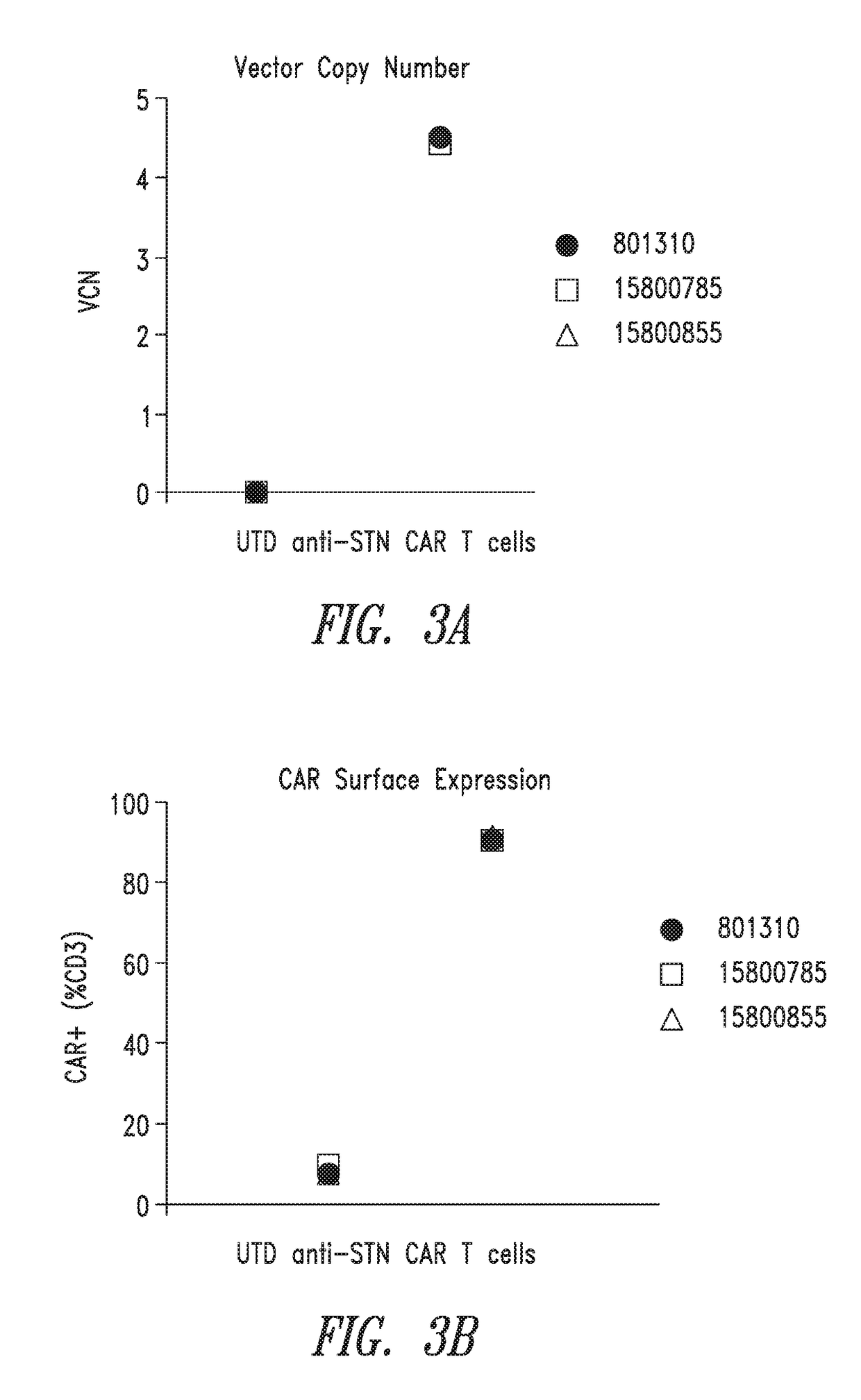 Anti-sialyl tn chimeric antigen receptors