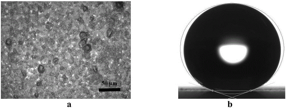 Transferable wearing-resistant flexible super-hydrophobic film and preparation method thereof