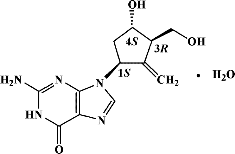 Entecavir granule formulation and preparation method thereof