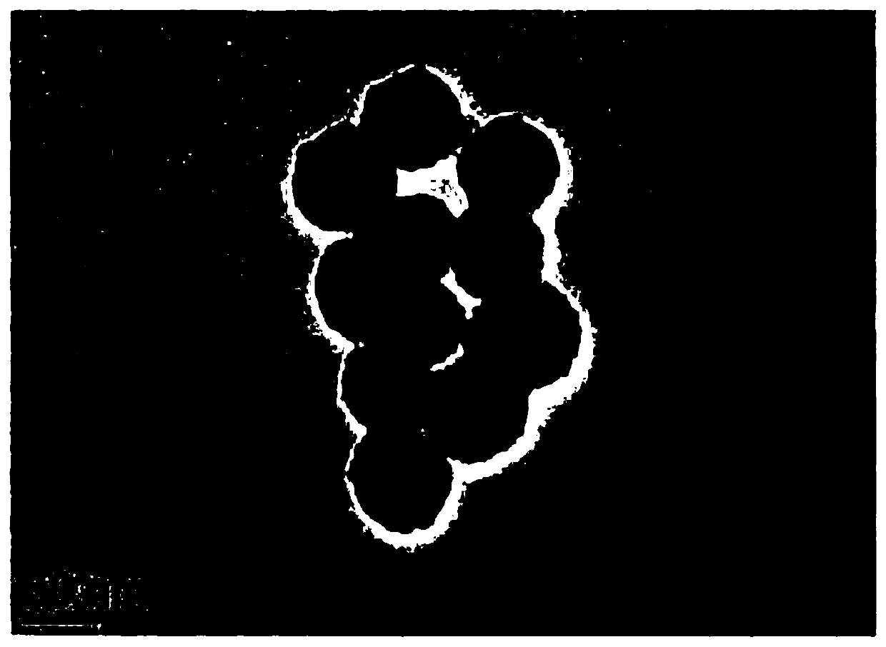 A kind of osteoarthritis cartilage targeting gadolinium-based magnetic resonance imaging contrast agent and preparation method thereof