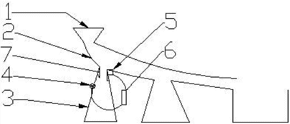 Automatic walnut sorting device