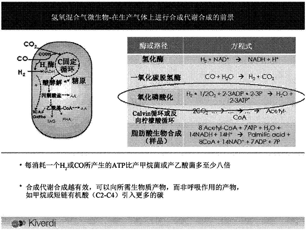 Microorganisms and artificial ecosystems for the production of protein, food, and useful co-products from c1 substrates