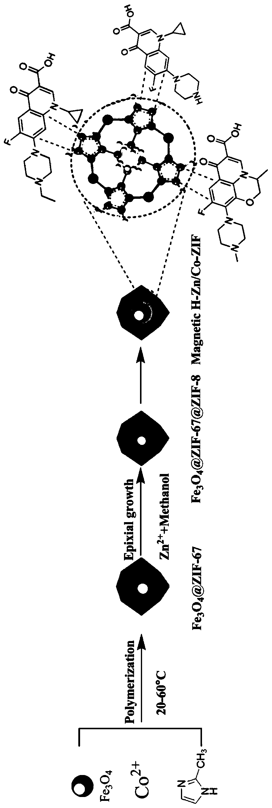 Preparation method and application of microwave-assisted magnetic hollow Zn/Co zeolite imidazole nanocage material