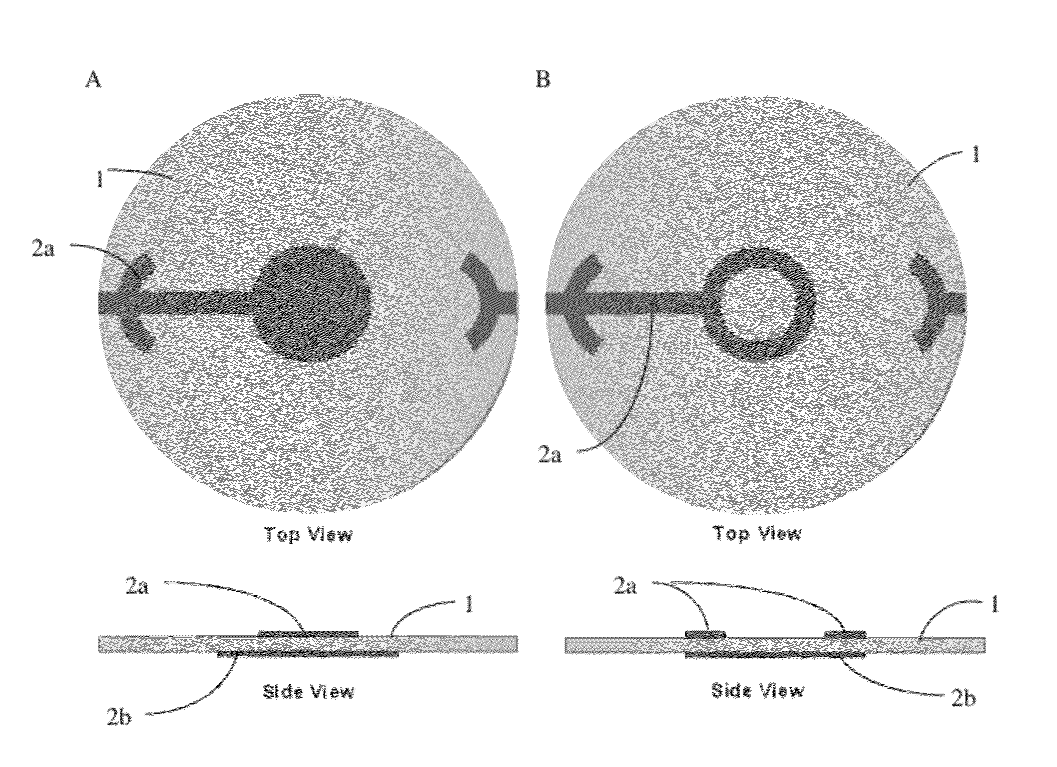 Uniform mass sensitivity thickness shear mode quartz resonator