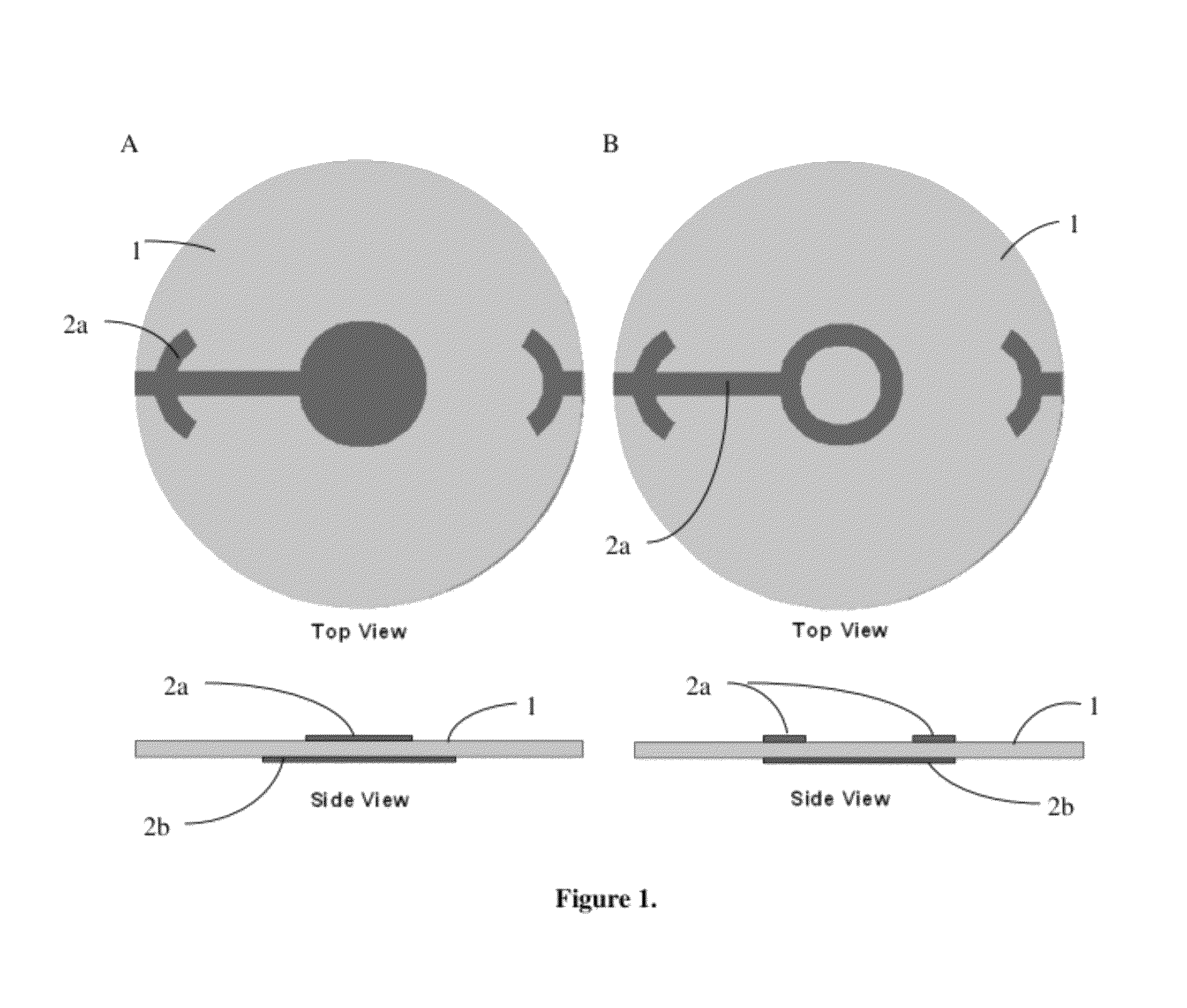 Uniform mass sensitivity thickness shear mode quartz resonator