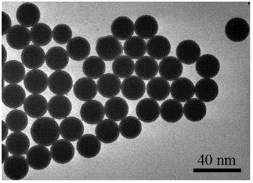 Preparation method of monodisperse large size carbon ball