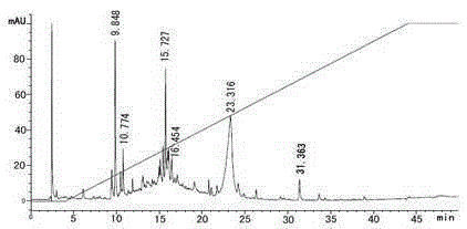 Swim bladder collagen anti-oxidation and anti-fatigue protein peptide