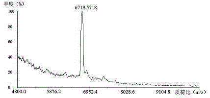 Swim bladder collagen anti-oxidation and anti-fatigue protein peptide