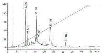 Swim bladder collagen anti-oxidation and anti-fatigue protein peptide