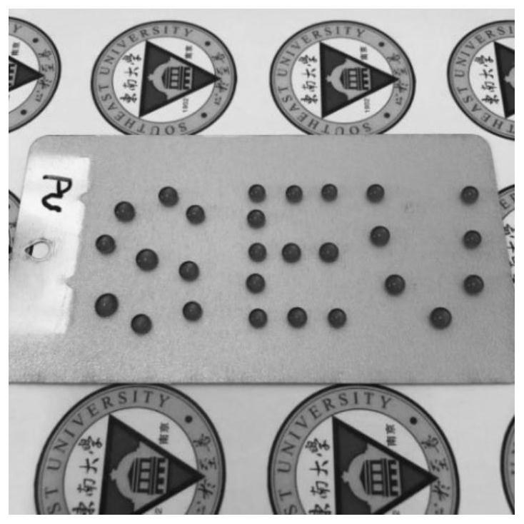 A kind of super wear-resistant super amphiphobic coating and its preparation method and application