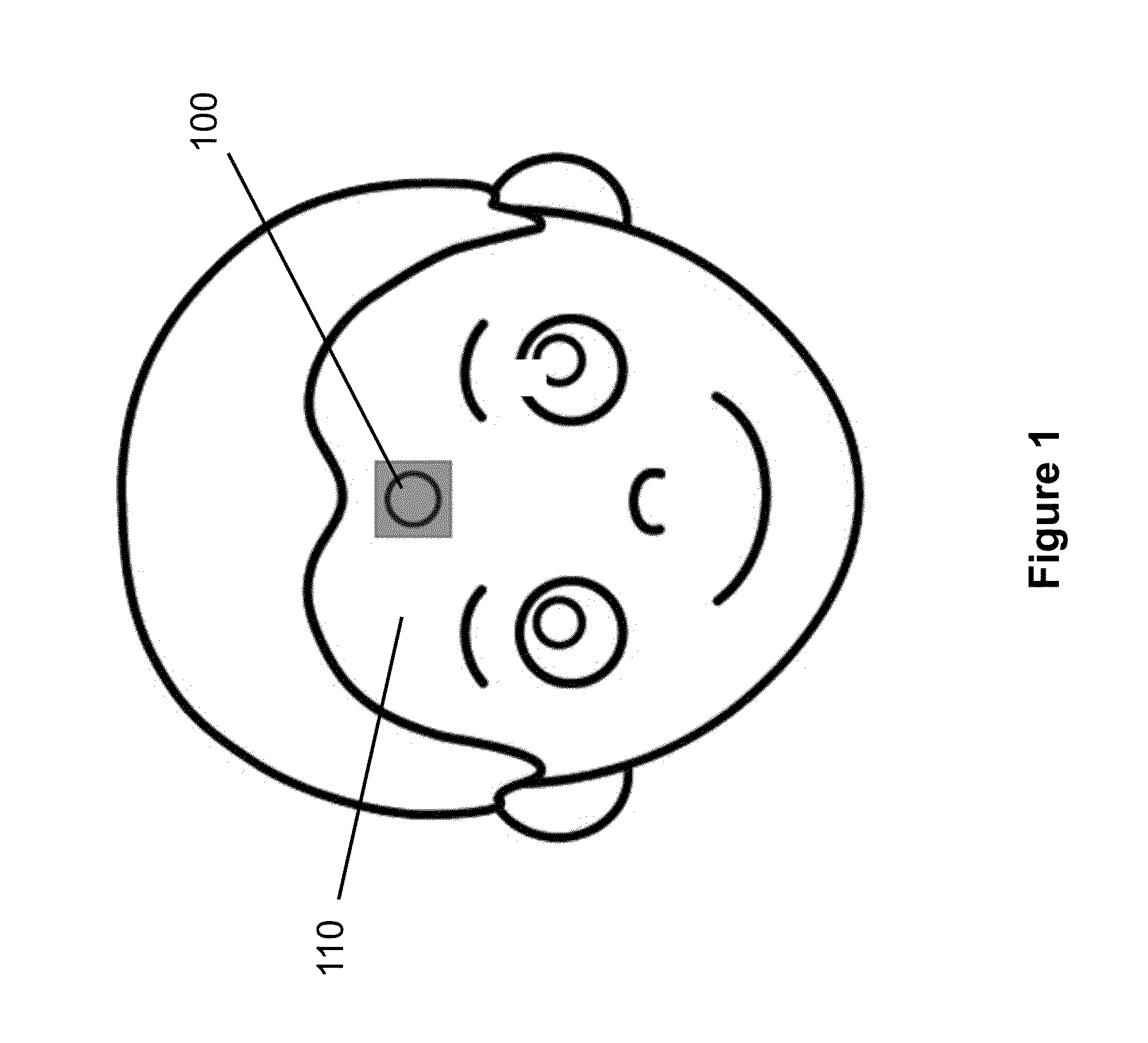 Compliant wearable patch capable of measuring electrical signals