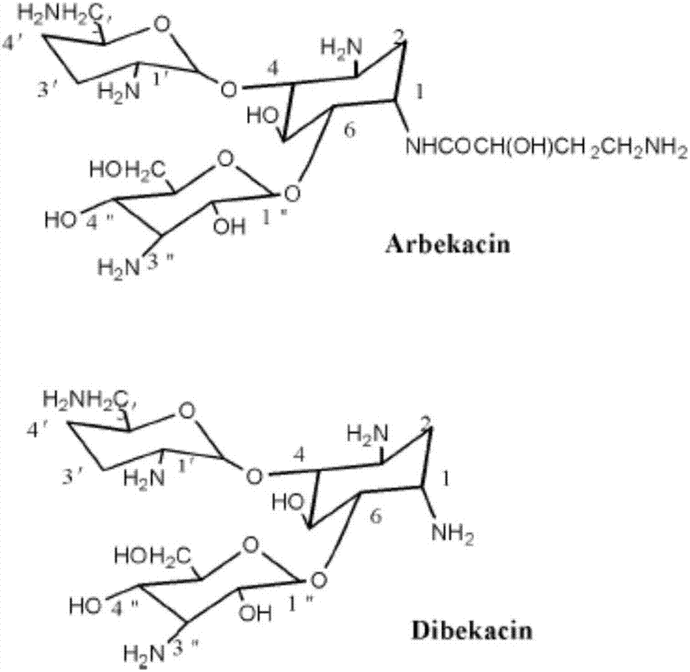 Preparation method for Arbekacin intermediate Dibekacin