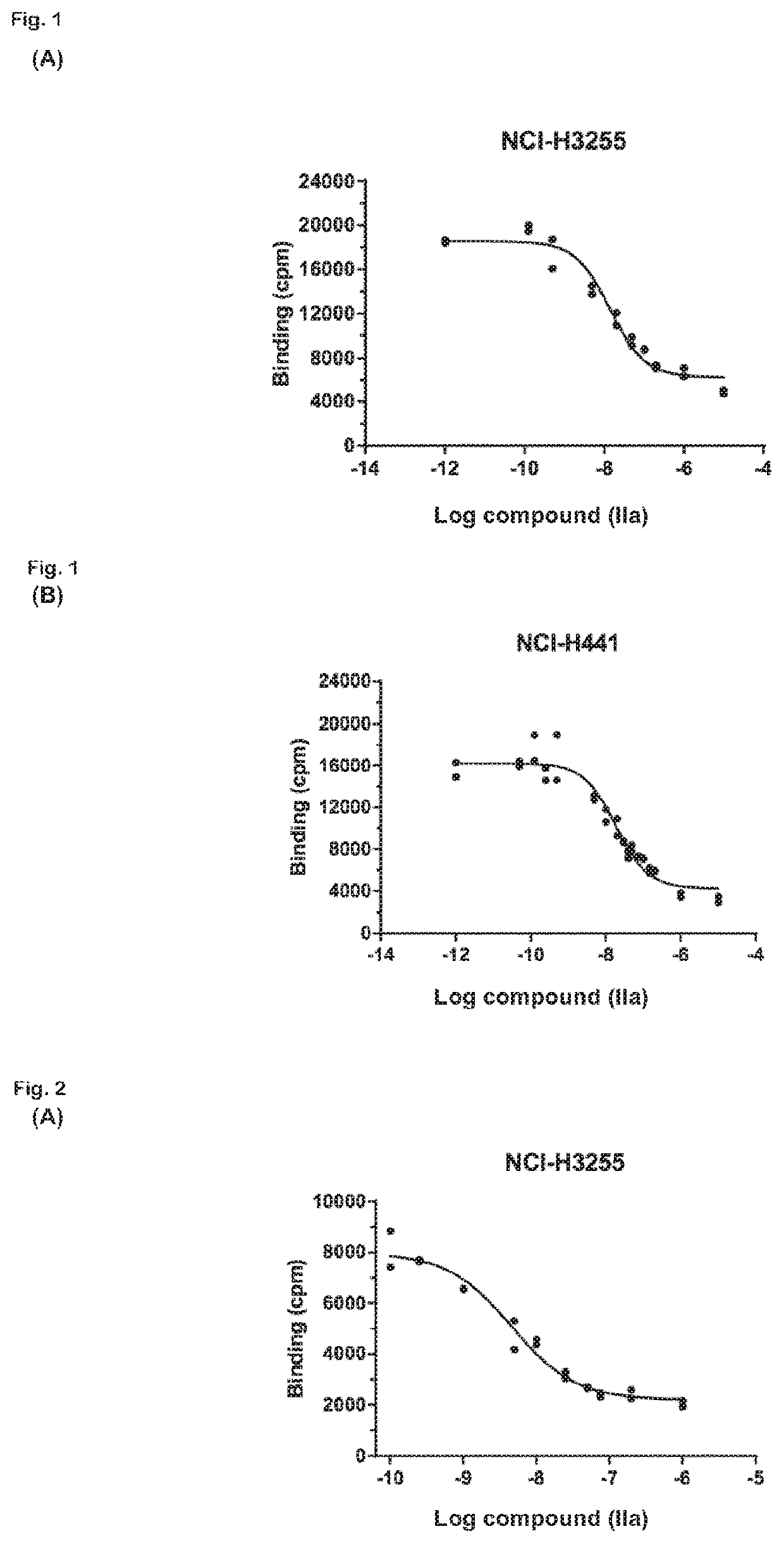 Radiolabeled macrocyclic EGFR inhibitor