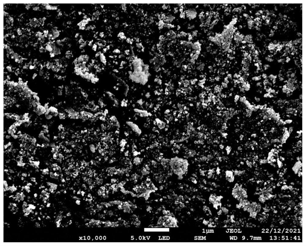 Antibacterial edge band as well as preparation method and application thereof