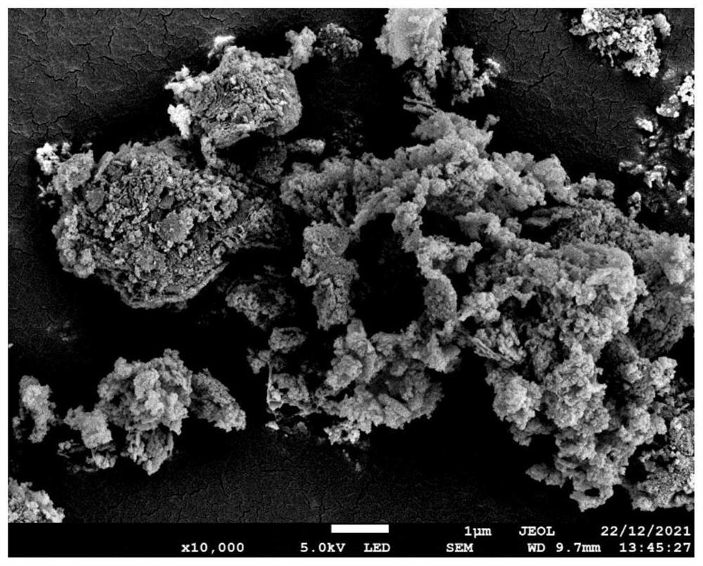 Antibacterial edge band as well as preparation method and application thereof