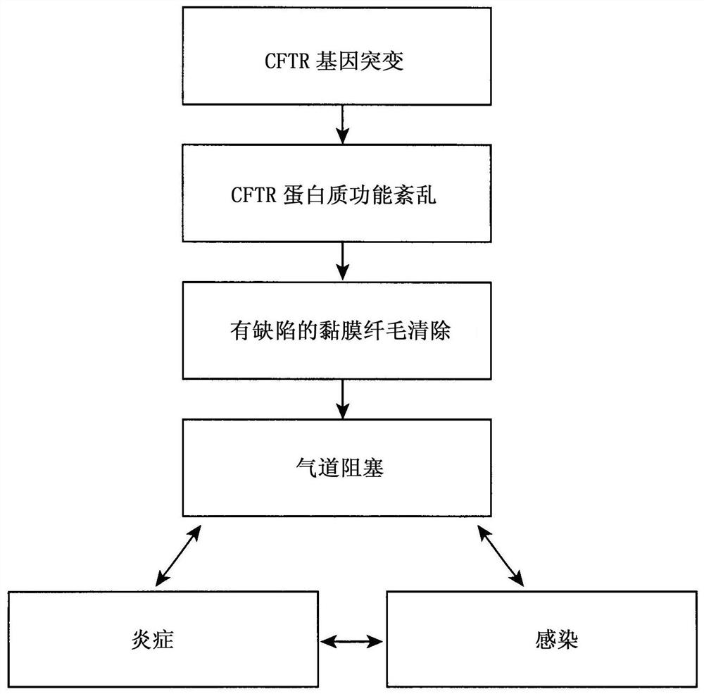 Use of thymosin alpha 1 for the treatment of cystic fibrosis