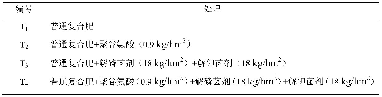 Combination fertilizer synergist containing polyglutamic acid, phosphorus solubilizing bacteria and potassium solubilizing bacteria and its preparation method and application