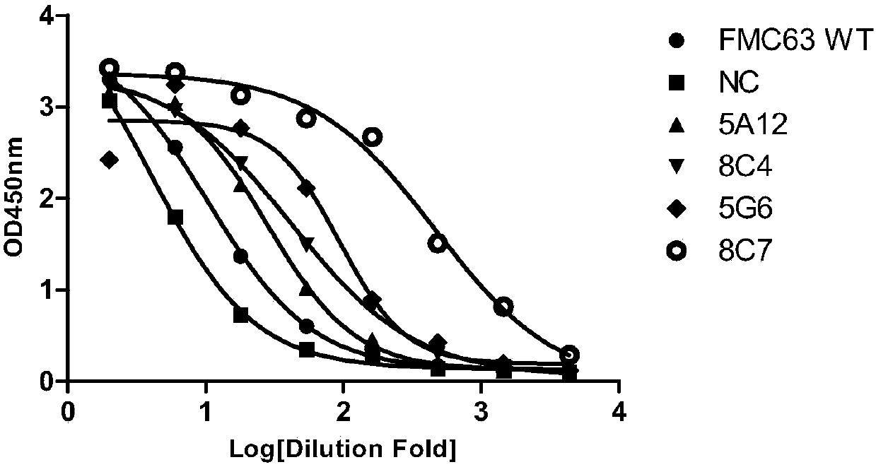 Anti-CD19 antibody and preparation method and use thereof