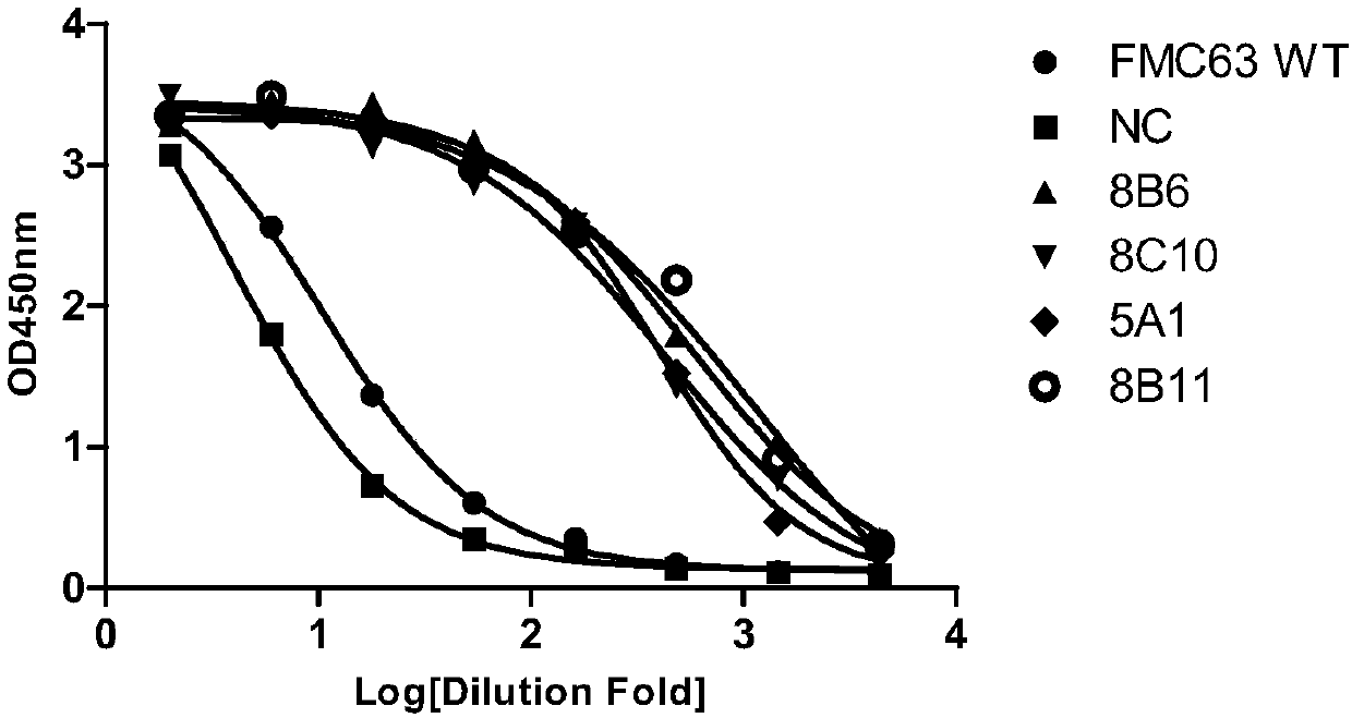 Anti-CD19 antibody and preparation method and use thereof