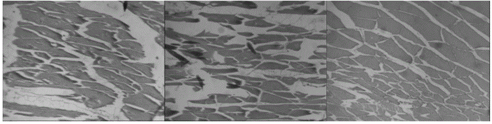 Rapid vitrification preservation and frozen refrigeration method for little yellow croakers and special refrigerating fluid