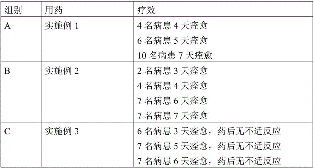 Traditional Chinese medicine composition and preparation for treating anorectal diseases