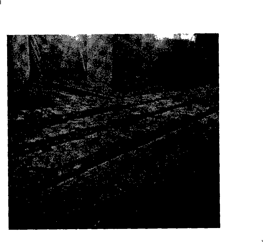 Rolling heating process for stainless steel for soldering