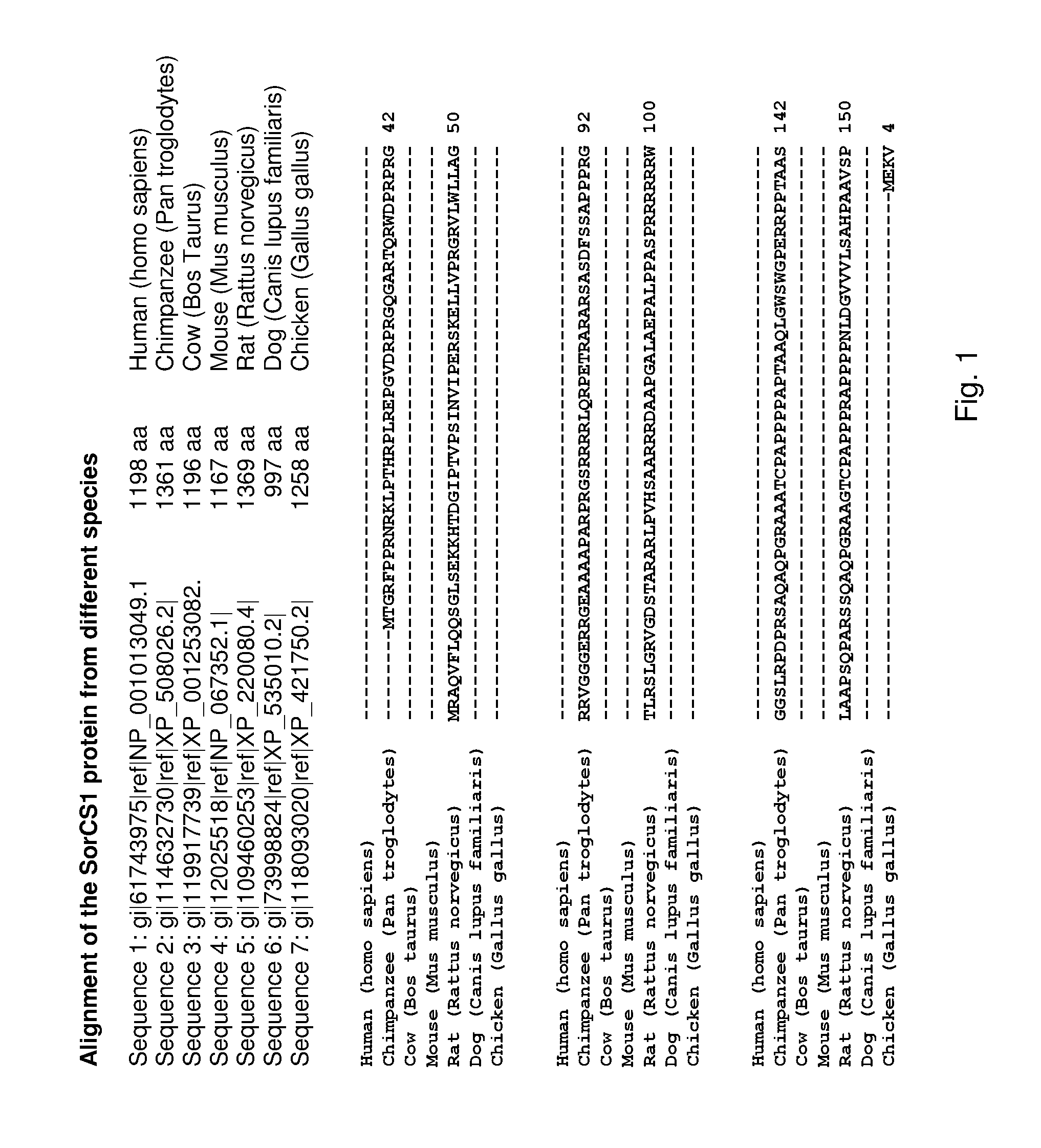 SorCS1 FOR USE IN THE TREATMENT OF OBESITY AND OVERWEIGHT