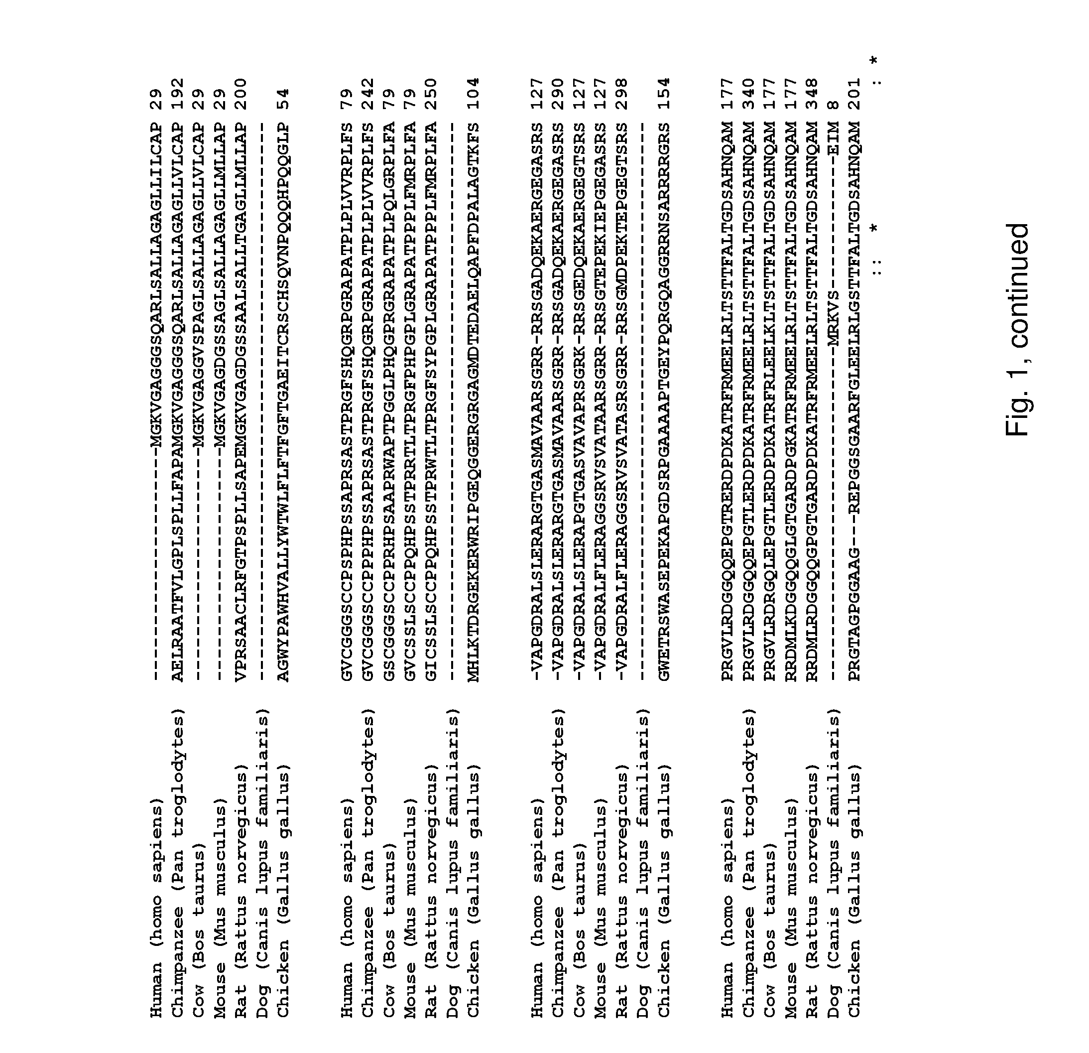 SorCS1 FOR USE IN THE TREATMENT OF OBESITY AND OVERWEIGHT