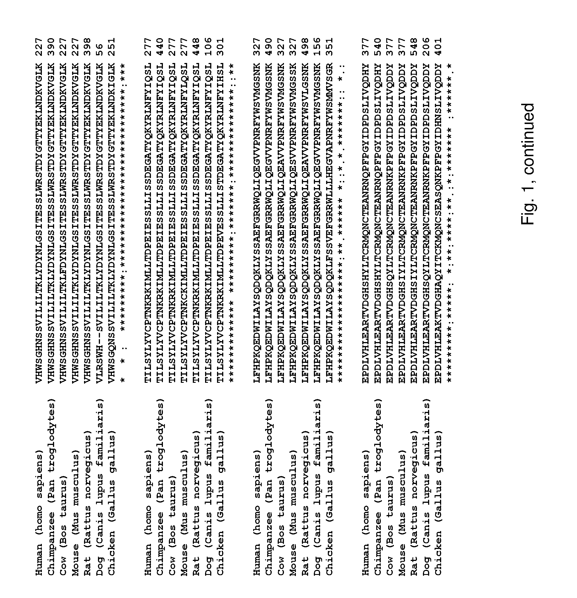 SorCS1 FOR USE IN THE TREATMENT OF OBESITY AND OVERWEIGHT