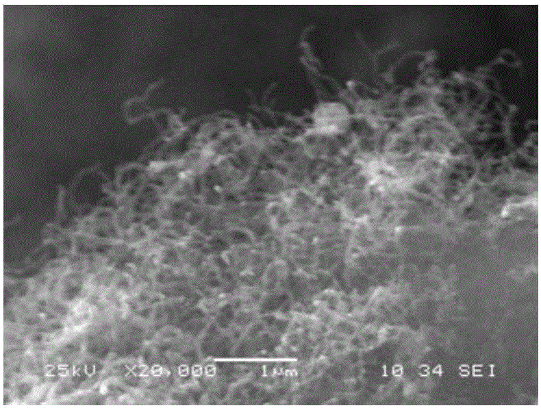 Nanometer silicon carbide fiber-modified C/C sealing material and preparation method thereof