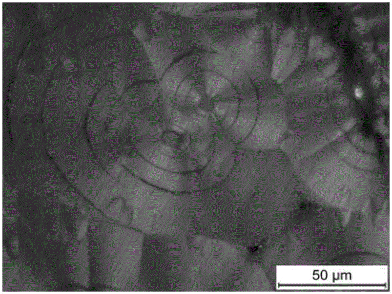 Nanometer silicon carbide fiber-modified C/C sealing material and preparation method thereof