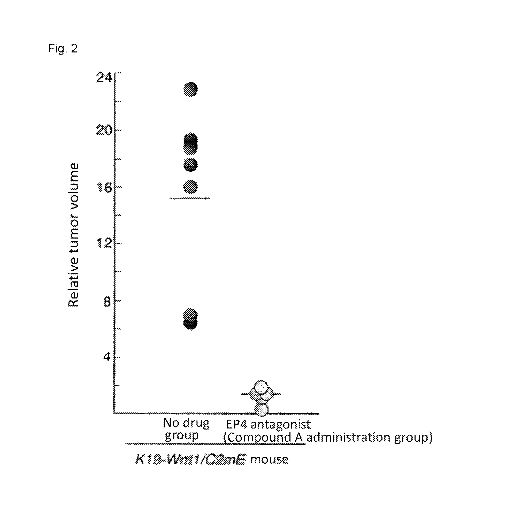 Selective EP4 receptor antagonistic substance for treatment of cancer