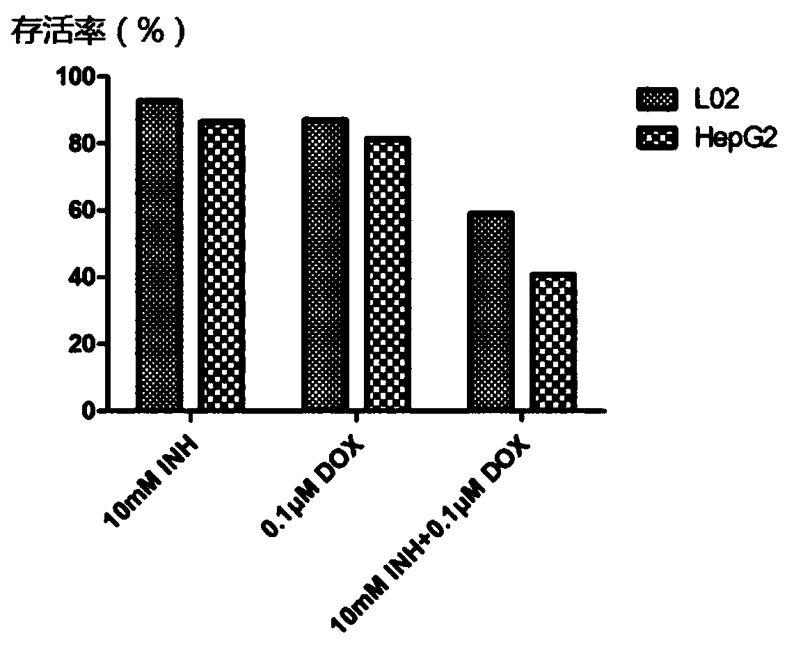 Anti-tumor drug and application of isoniazid in preparation of anti-tumor drug